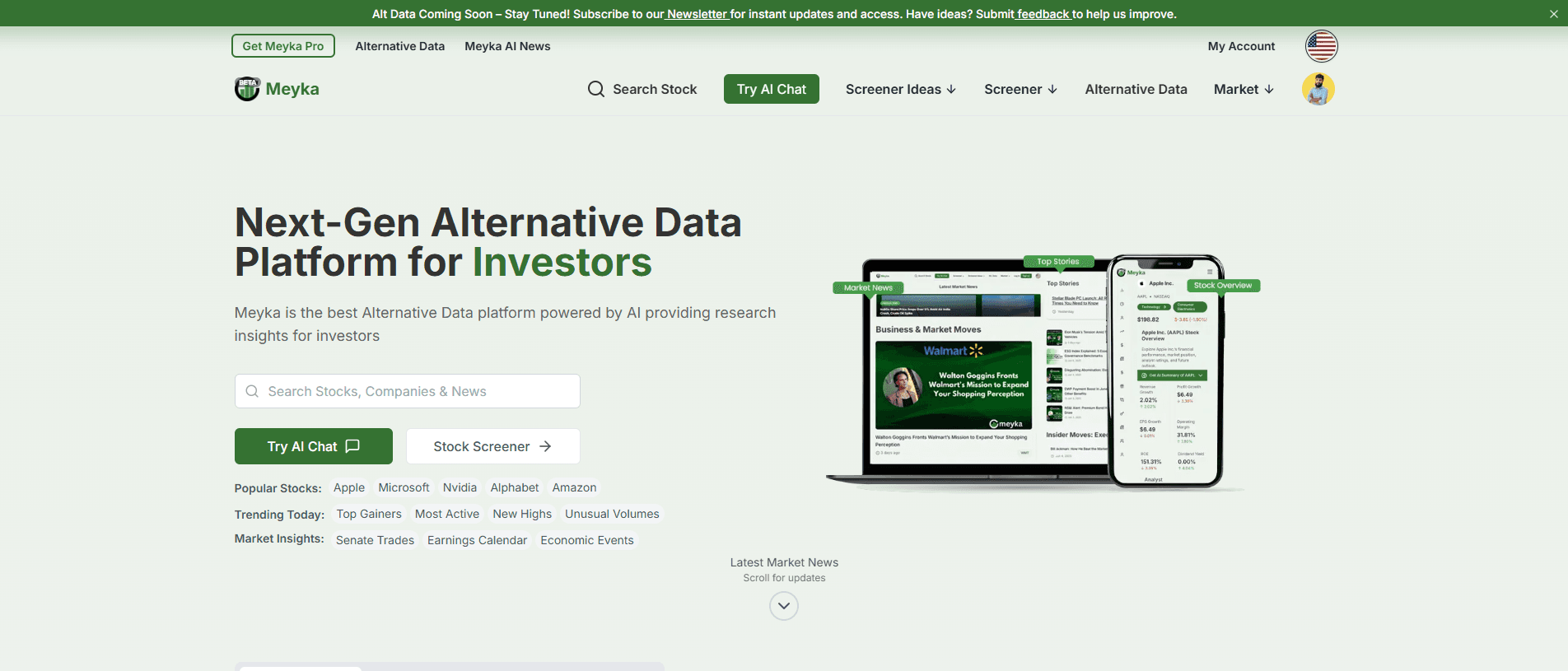 Meyka AI stock research platform interface